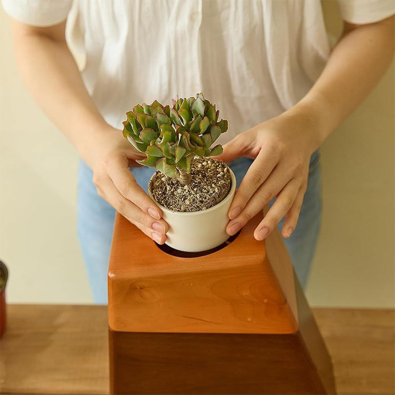 Forest Fold Urn